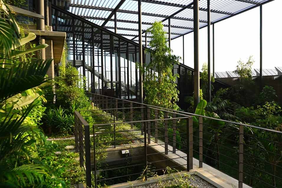 Garden area
