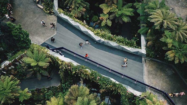 Bridge aerial view