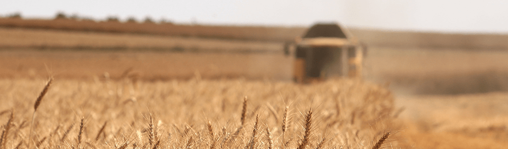 agricultural management